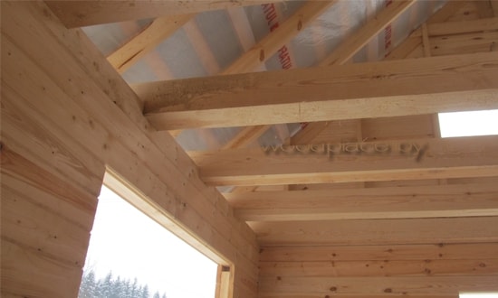 Photo Report "Night field"