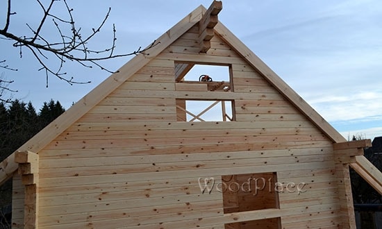 Photo Report "Arlekino"