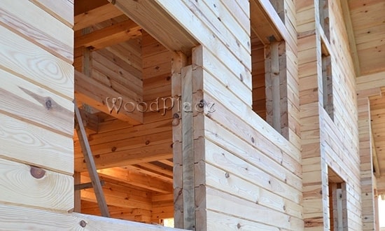 Фотоотчёт  "Конфетка увеличенная" 10.08.2018