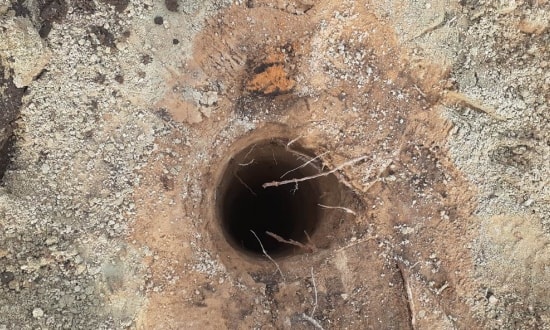 Проект каркасного дома "Боровляны"