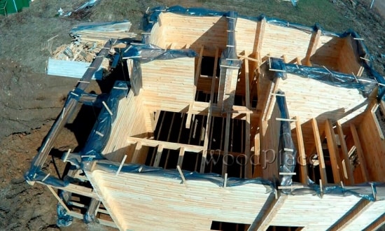 Фотоотчет  "Любимец"