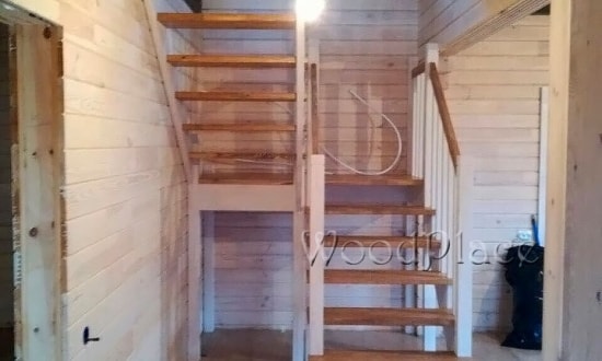 Фотоотчет  "Любимец"