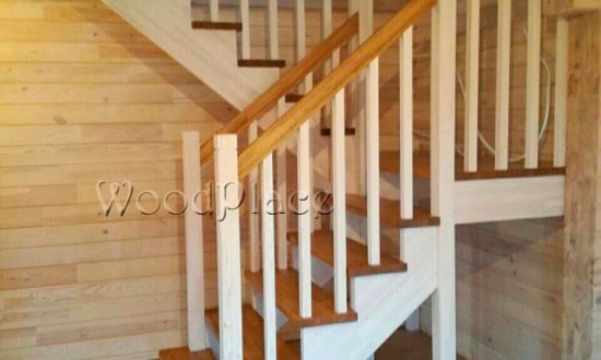 Фотоотчет  "Любимец"