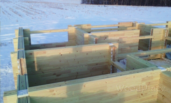 Проект  "Серенада"