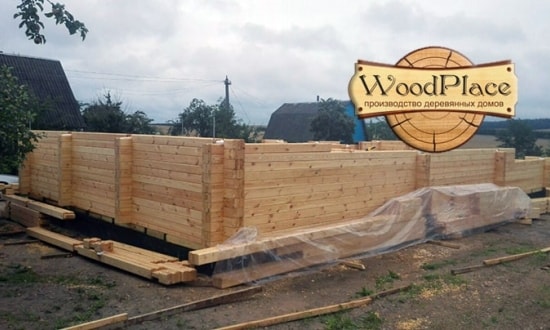 Фотоотчет "Красавец"