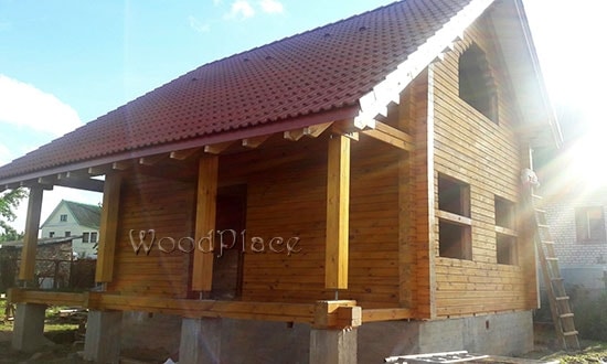 Photo Report "Swans"