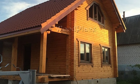 Photo Report "Swans"