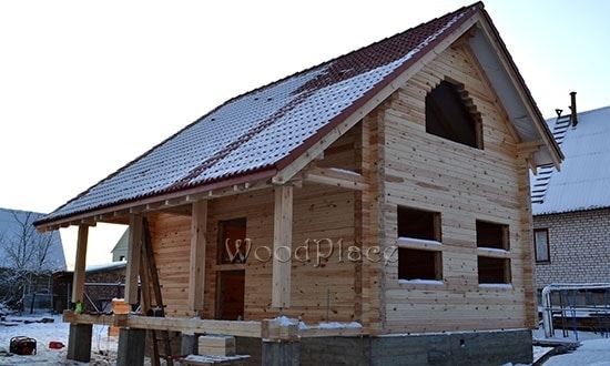 Photo Report "Swans"