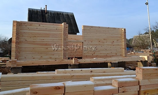 Photo Report "Swans"