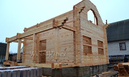 Photo Report "Swans"