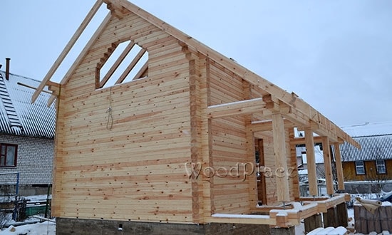 Photo Report "Swans"