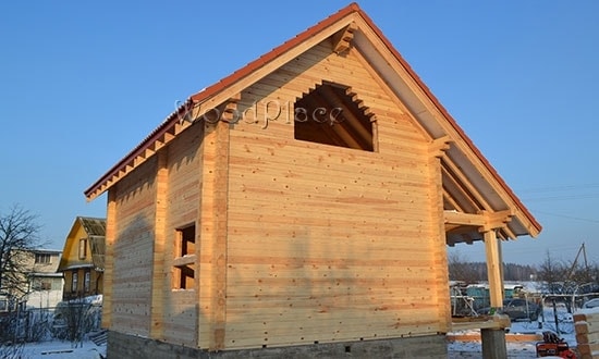 Photo Report "Swans"