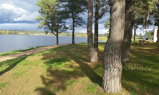 Fotoreportaż "Green Gold Park"