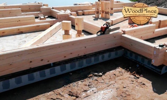 Фотоотчет "Шейх"