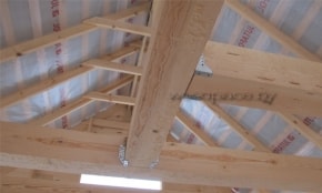 Photo Report "Night field"