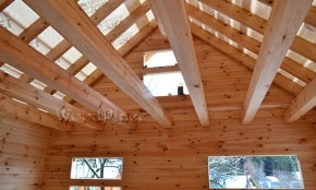 Photo Report "Arlekino"