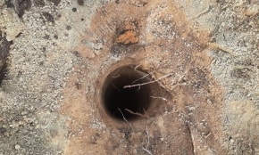 Проект каркасного дома "Боровляны"