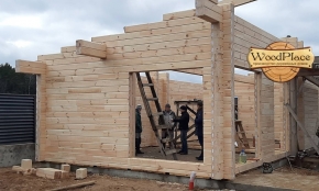 Фотоотчет "Дроздово - Летний дом" 22.05.2020