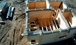 Фотоотчет  "Любимец"