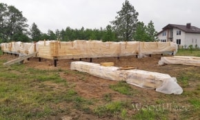 Фотоотчет  "Каир"  @14.08.2017