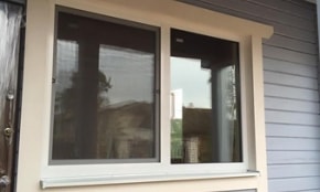 Photo Report "Sweet"