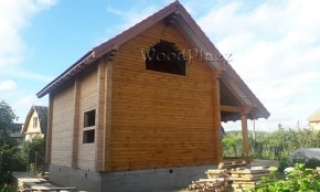 Photo Report "Swans"