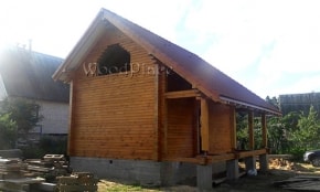 Photo Report "Swans"