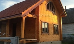 Photo Report "Swans"