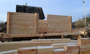 Photo Report "Swans"