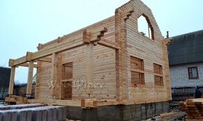 Photo Report "Swans"