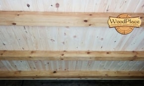 Фотоотчёт "Новая Жизнь"