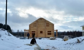 Проект "Новое поле"