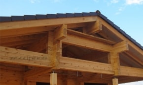 Фотоотчет "Пятевщина"