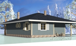 Проект каркасного дома  "Едишки"