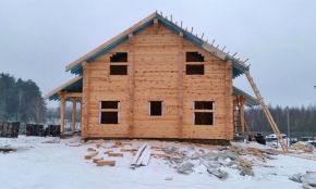 Проект "Новое поле"