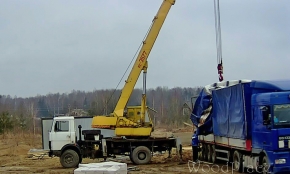 Фотоотчет  "Любимец"