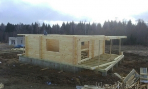 Фотоотчет  "Любимец"