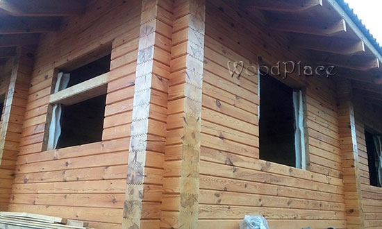 Photo Report "Timoshka"