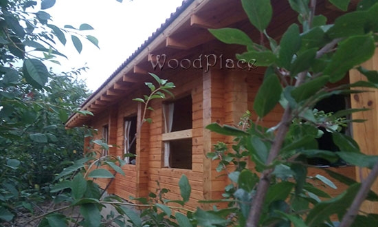 Photo Report "Timoshka"