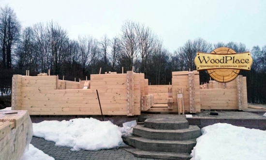 Проект "Зимний сад" @19.06.2018